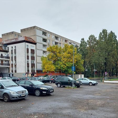 Central Gallery Apartment Debrecen Dış mekan fotoğraf